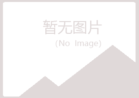 平鲁区醉薇会计有限公司